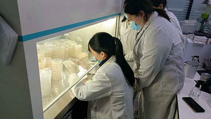 微生物檢測濾膜法操作規程是怎么樣的?